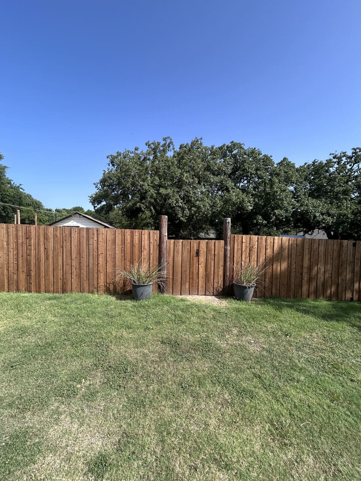 Cedar Fencing